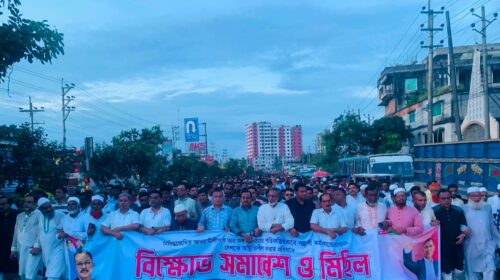 আওয়ামী সন্ত্রাসীর বিরুদ্ধে বিএনপির বিক্ষোভ মিছিল